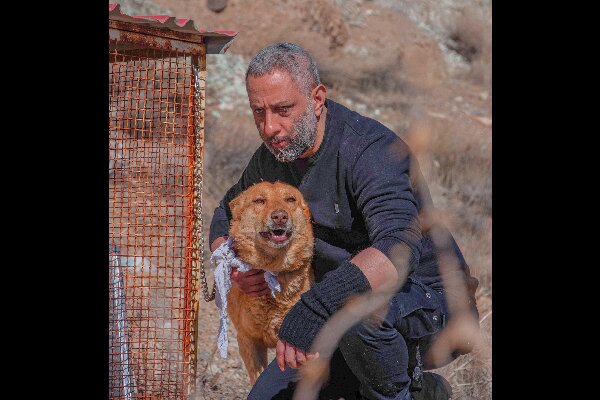 «سگ زرد» به صداگذاری رسید/ جنایت به خاطر گذشته سیاه «سگ زرد» به صداگذاری رسید/ جنایت به خاطر گذشته سیاه