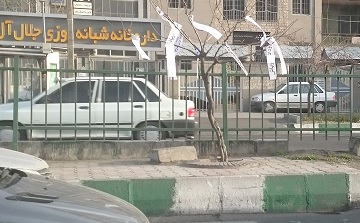 توسل کاندیداهای مجلس به درخت‌های پایتخت +عکس