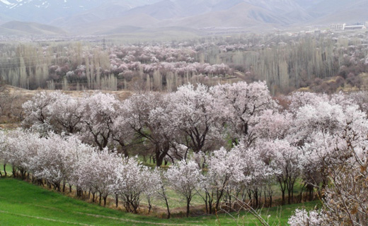 کم هزینهترین شهرهای ایران در نوروز + تصاویر کم هزینهترین شهرهای ایران در نوروز + تصاویر