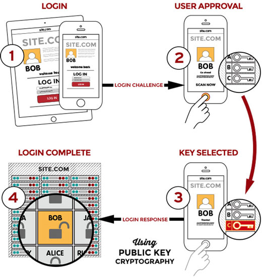 حسگرهای اثر انگشت چگونه کار میکنند؟ + تصاویر حسگرهای اثر انگشت چگونه کار میکنند؟ + تصاویر