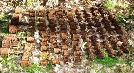 عجایبی که در حیاط خانهها کشف شدهاند+تصاویر عجایبی که در حیاط خانهها کشف شدهاند+تصاویر