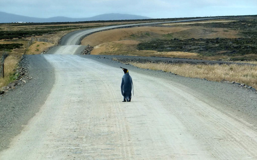 از تصویری هوایی از زمین های کشت هندوانه در چین تا در آغوش گرفتن روبات انسان نما+تصاویر از تصویری هوایی از زمین های کشت هندوانه در چین تا در آغوش گرفتن روبات انسان نما+تصاویر