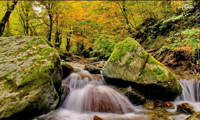 تکه‌ای از بهشت در استان گلستان +عکس