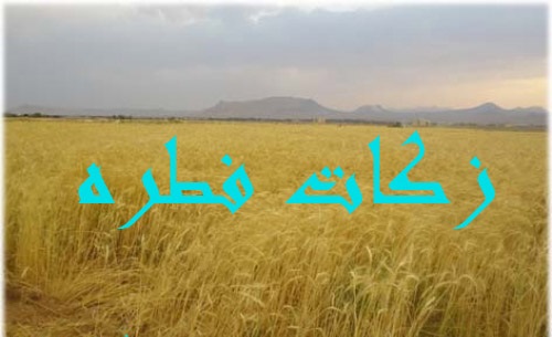 میزان فطریه براساس قیمت گندم برای هر نفر حداقل ۶ هزار تومان است