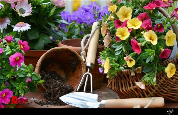 کاهش 50 درصدی کاهش 50 درصدی