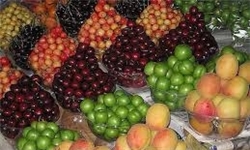 واردات انواع میوه همچنان ممنوع است