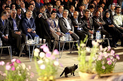 مهمان ناخوانده در آئین بزرگداشت سعدی + عکس مهمان ناخوانده در آئین بزرگداشت سعدی + عکس