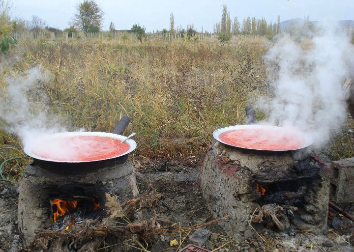 پخت رب گوجه فرنگی در جوار مقبره کوروش