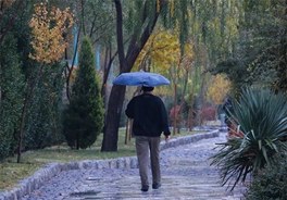 شمال کشور از روز پنج شنبه خنک می شود/باران رگباری می بارد