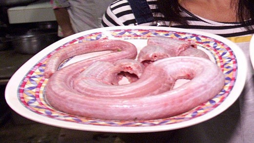دیکتاتوری که آدمخوار بود! + عکس