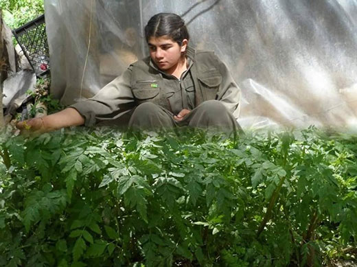دختران ایزدی در حمله جنگندههای ترکیه تکهتکه شدند + عکس دختران ایزدی در حمله جنگندههای ترکیه تکهتکه شدند + عکس
