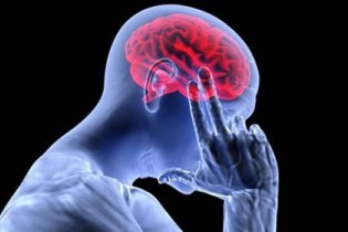 مواد خوراکی محافظت کننده از مغز در مقابل آلزایمر