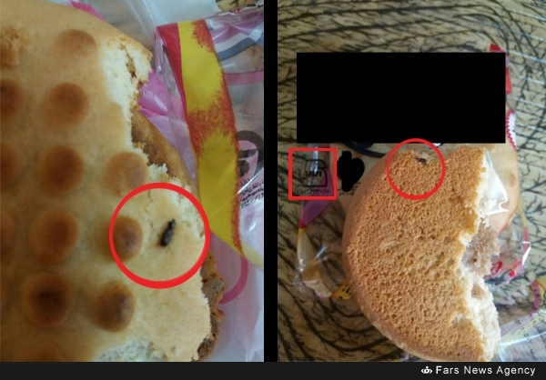 کلوچه‌هایی با طعم سوسک در شوش + تصویر