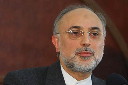 راکتور اراک هم چنان راکتور آب سنگین باقی خواهد ماند/ دو نیروگاه جدید در بوشهر خواهیم ساخت