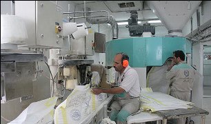 ایجاد 15 هزار شغل مستقیم و غیر مستقیم در استان کردستان