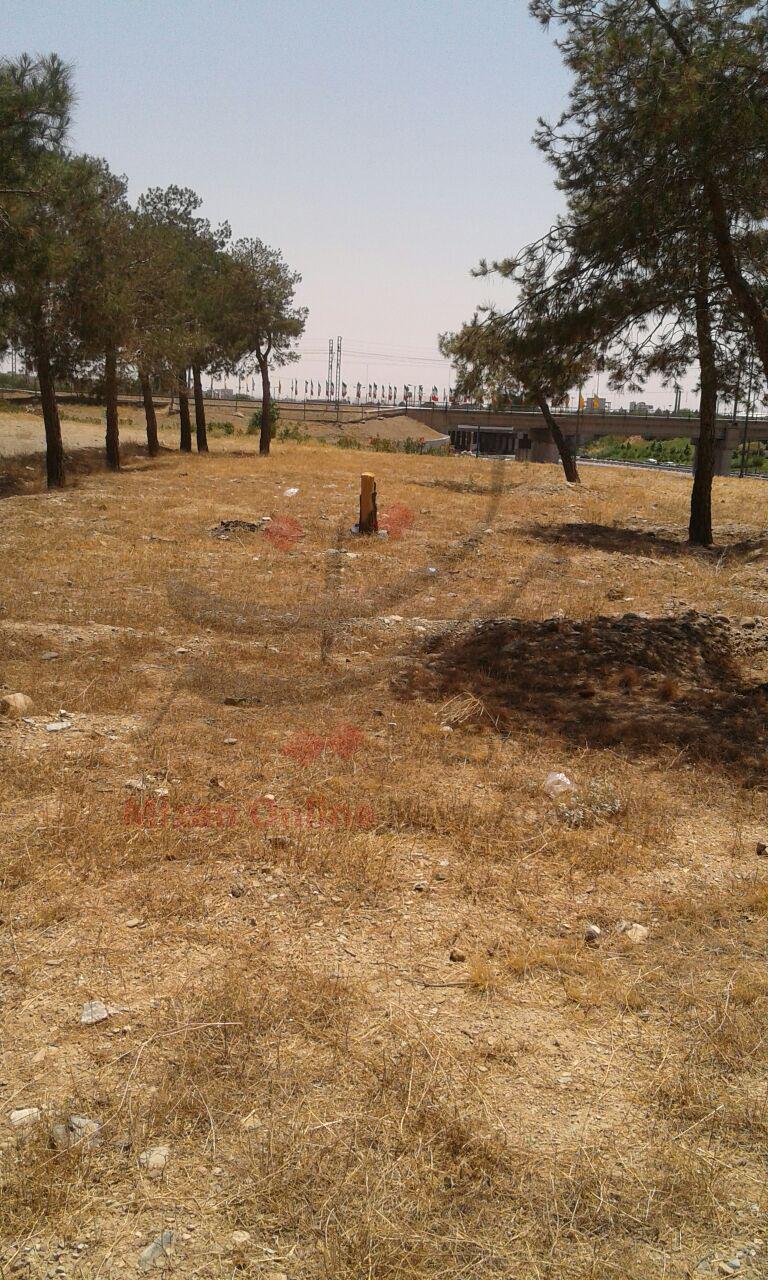 قطع دوباره درختان در پارک جنگلی خرگوش دره/ فروش آب چاه جنگل با تانکر