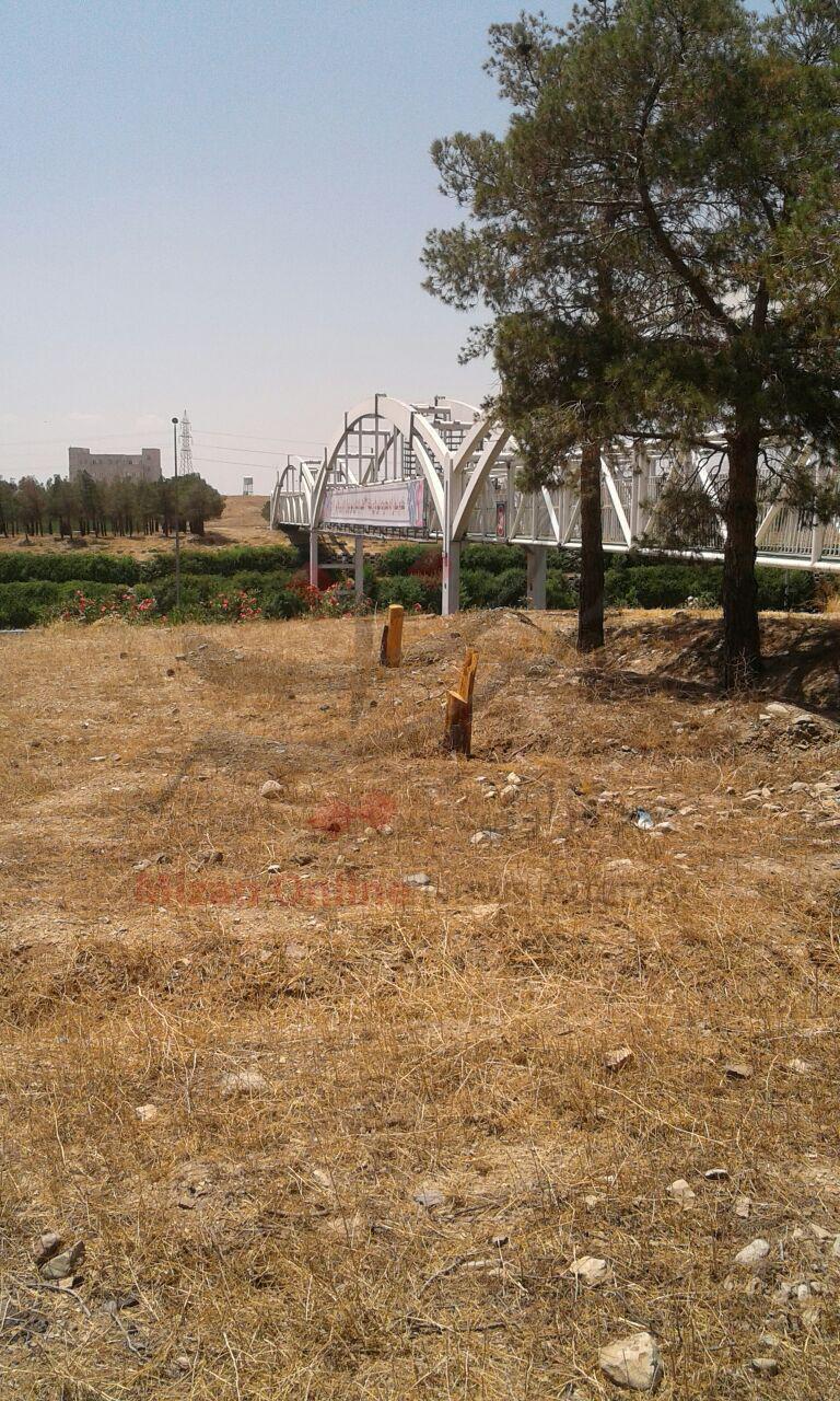 قطع دوباره درختان در پارک جنگلی خرگوش دره/ فروش آب چاه جنگل با تانکر