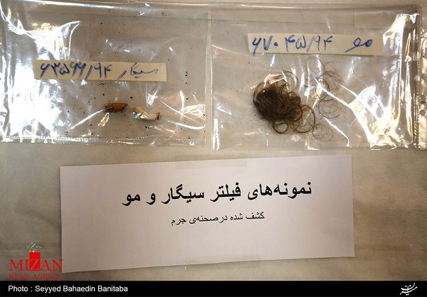 رمزگشایی از معماهای جنایی با آزمایشگاههای ژنتیک پزشکی قانونی + عکس رمزگشایی از معماهای جنایی با آزمایشگاههای ژنتیک پزشکی قانونی + عکس
