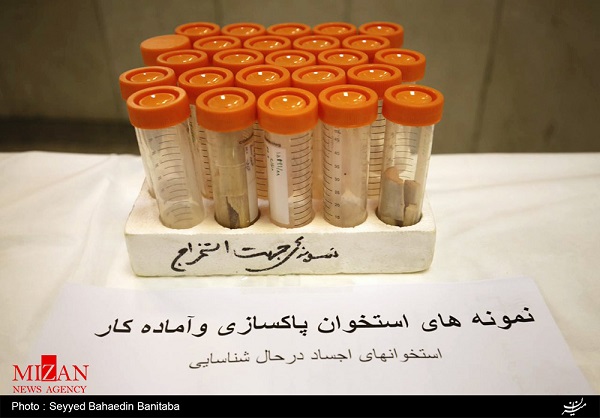 رمزگشایی از معماهای جنایی با آزمایشگاههای ژنتیک پزشکی قانونی + عکس رمزگشایی از معماهای جنایی با آزمایشگاههای ژنتیک پزشکی قانونی + عکس