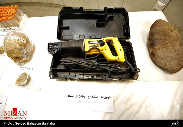 رمزگشایی از معماهای جنایی با آزمایشگاههای ژنتیک پزشکی قانونی + عکس رمزگشایی از معماهای جنایی با آزمایشگاههای ژنتیک پزشکی قانونی + عکس