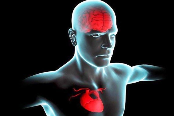 تأیید معجزه روزه داری در تحقیقات دانشمندان جهان +تصاویر تأیید معجزه روزه داری در تحقیقات دانشمندان جهان +تصاویر