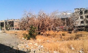 تشکیل ستاد حفاظت از باغات دارای پروانه ساخت در پایتخت/ارائه درخواست تملک برخی از باغاتی که تعمدا خشک شده اند به دستگاه قضاء/// یکشنبه