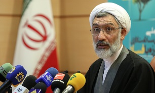 اموال بابک زنجانی سرمایه کشور است که باید برگردد/ وکلا شکرگزار ماده 48 آیین دادرسی کیفری باشد