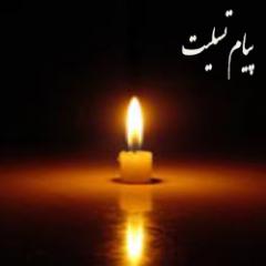 فرمانده یگان حفاظت سازمان حفاظت محیط زیست شهادت سه محیط بان را تسلیت گفت