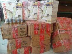 توقیف 1800 فشنگ قاچاق در هنگ مرزی سلماس