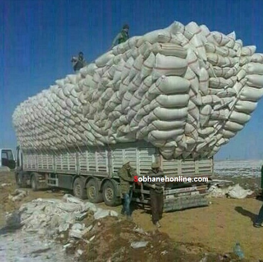 از کشف جمجمه‌های فروخته شده کودکان تا قفس مرگ در چین + تصاویر