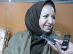 همکاری با آلمان برای ثبت جهانی جنگل های زاگرسی/ این جنگل ها باستانی اند