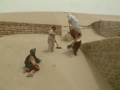 امدادرسانی به 1258 نفر در طوفان سیستان/ توزیع 32 هزار ماسک