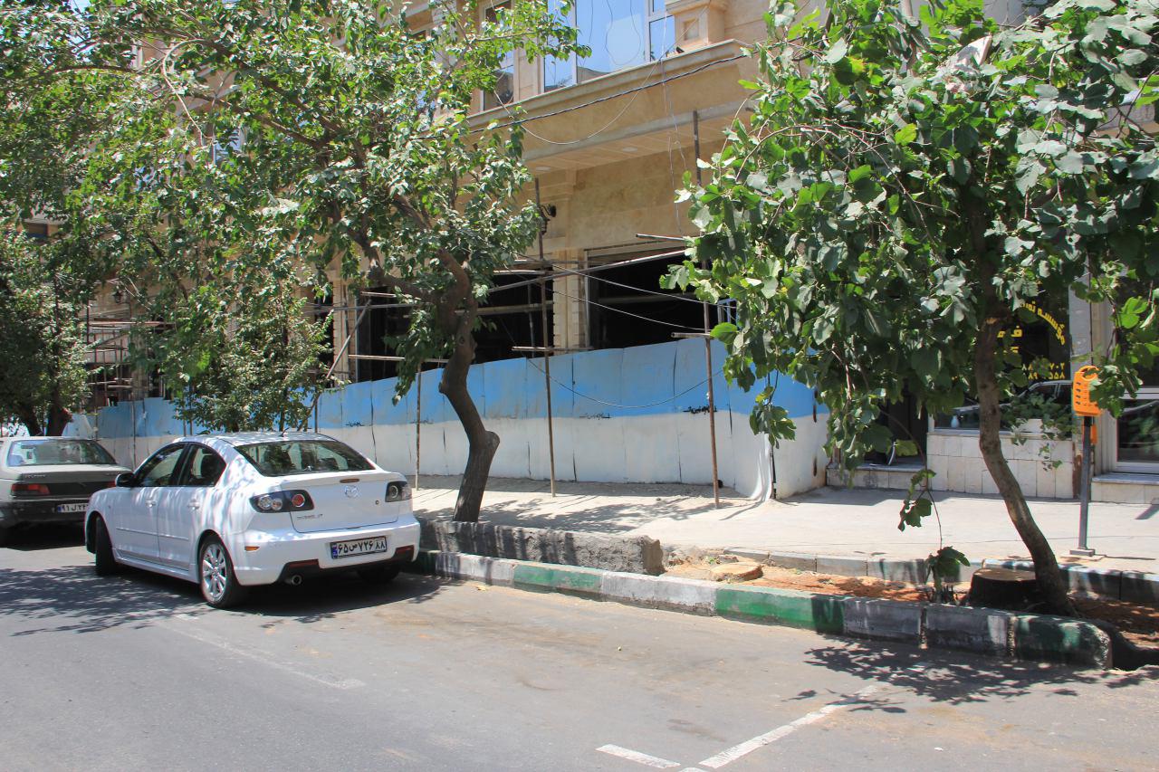 فقط  چهار درخت قطع کردیم