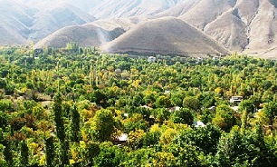 تشکیل کمیسیون مشترک در شورای شهر برای اصلاح قوانین باغات/ این اقدام کم هزینه تر از تملک پهنه های سبز است/ تولیدی یکشنبه