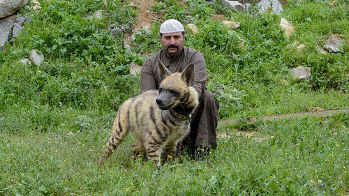 سرگرمی عجیب دختربچه سعودی +تصاویر