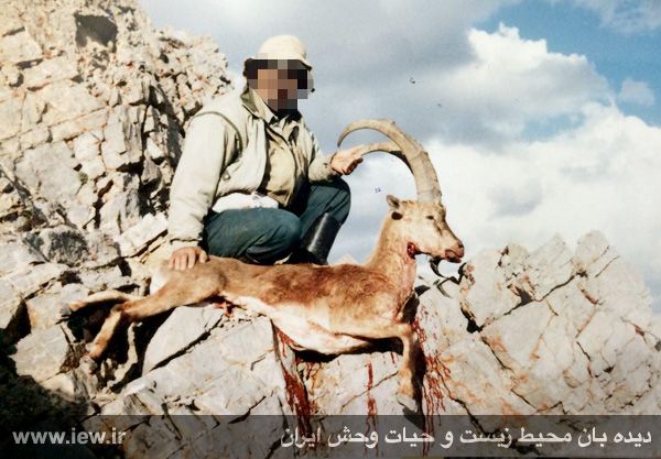 قاتل حیات وحش ایران دستگیر شد