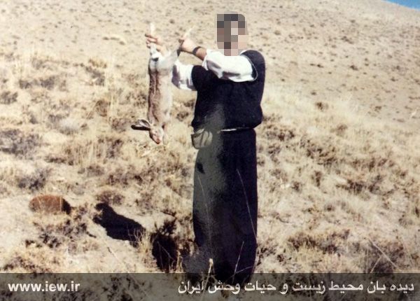 قاتل حیات وحش ایران دستگیر شد