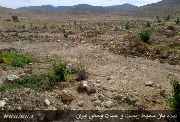 رفع تصرف هشت هکتار از اراضی پارک ملی بمو