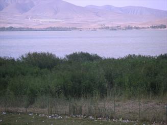 قدم زدن در «ائل گولی» گشتوگذار در «کندوان» غافلگیری در «لیقوان»+تصاویر قدم زدن در «ائل گولی» گشتوگذار در «کندوان» غافلگیری در «لیقوان»+تصاویر