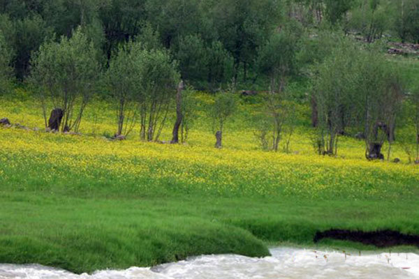 قدم زدن در «ائل گولی» گشتوگذار در «کندوان» غافلگیری در «لیقوان»+تصاویر قدم زدن در «ائل گولی» گشتوگذار در «کندوان» غافلگیری در «لیقوان»+تصاویر