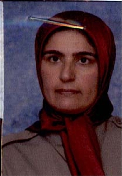 فرار سرکردگان منافقین از لیبرتی همچنان ادامه دارد+اسم و مشخصات فرار سرکردگان منافقین از لیبرتی همچنان ادامه دارد+اسم و مشخصات