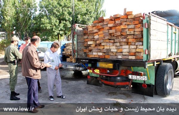 کشف 526 اصله چوب قاچاق جنگلی از قاچاقچیان کشف 526 اصله چوب قاچاق جنگلی از قاچاقچیان