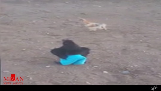 مرغ جنجالی فضای مجازی با شلوار آبی! + فیلم