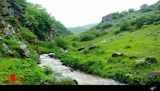 مستند 