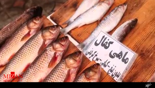 قسمت سوم مستند 