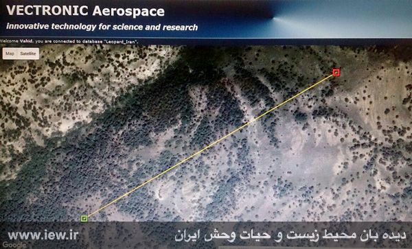 آخرین وضعیت هیرکان، ماده پلنگ رهاسازی شده در پارک ملی گلستان+تصاویر آخرین وضعیت هیرکان، ماده پلنگ رهاسازی شده در پارک ملی گلستان+تصاویر