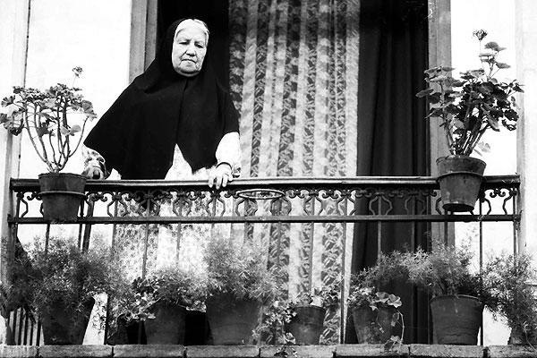 روز ملی سینما بهانهای برای کالبدشکافی مسیر راه فیلمسازان روز ملی سینما بهانهای برای کالبدشکافی مسیر راه فیلمسازان