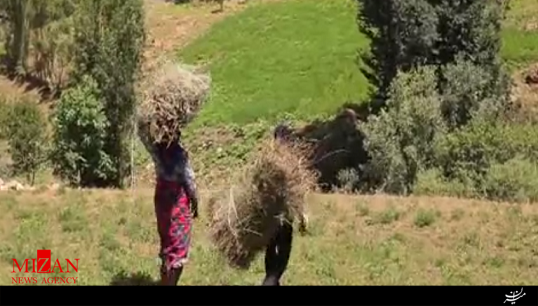 قسمت هفتم مستند قسمت هفتم مستند