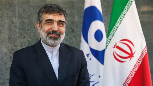 توضیحات سخنگوی سازمان انرژی اتمی درباره خبرسازی آسوشیتدپرس