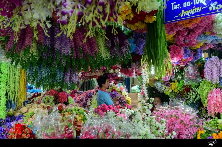 دور دنیا در 10 تصویر